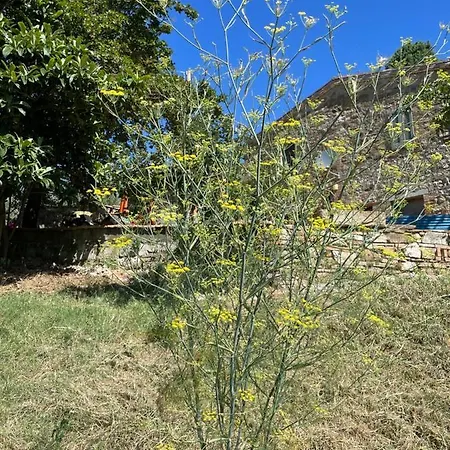 Casamoira Apartment