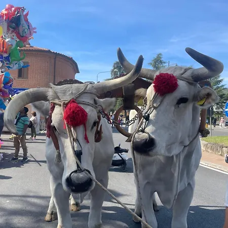 Casamoira דירה טרקוונדה