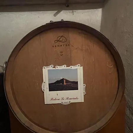 Casamoira דירה טרקוונדה