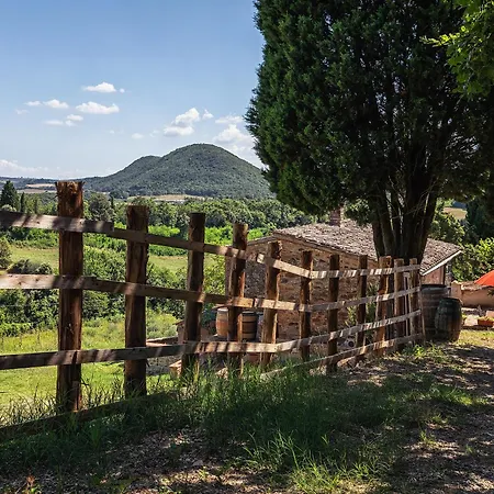 Casamoira